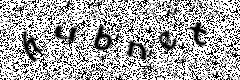 capthcha text